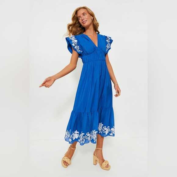 Tuckernuck Dresses & Skirts - TUCKERNUCK Cerulean Sutton Flutter Sleeve Maxi Dress - XS
